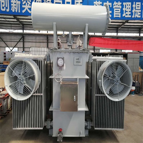 长白山S22-8000KVA电力变压器